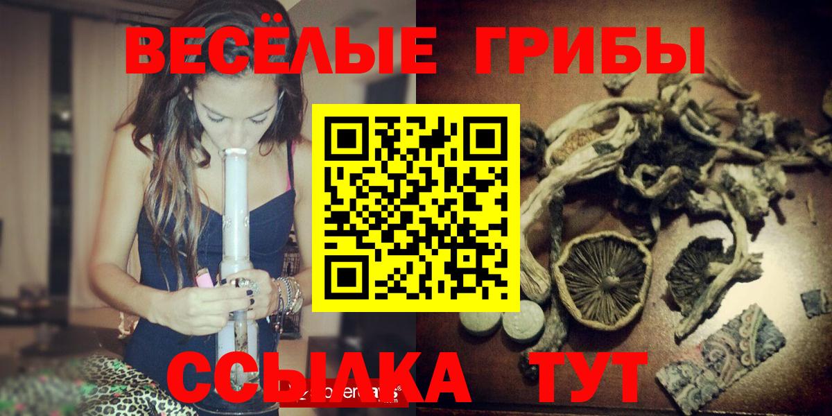 Ульяновск  Псилоцибиновые грибы Psilocybe  Вход с VPN 